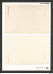 Diatomeae indet. Zeichnungen Sammlung Grunow (NHMW-BOT-W0370819)
